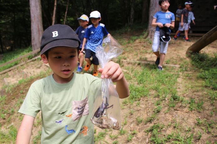 見て！カブトムシがいたよ！