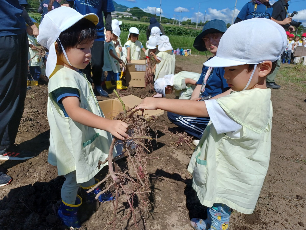 9月30日　いもほり遠足　保護者様からのおたより紹介